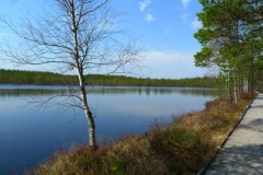 sbv_17_langtjarn